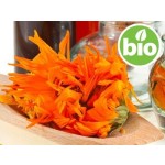 Aceite de Caléndula BIO en Oliva BIO