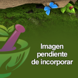 Centella asiática planta cortada