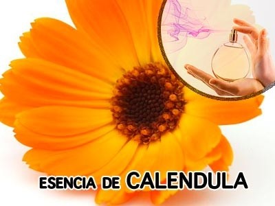 Fragancia de Caléndula