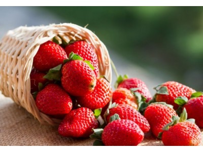 Fragancia de Fresa