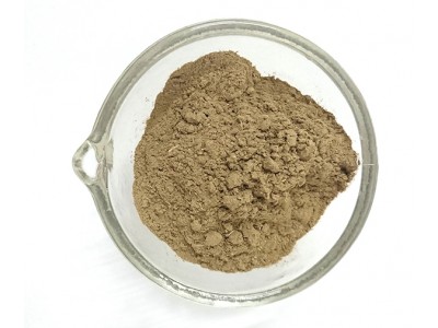 Tulsi en polvo