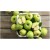 Fragancia de Manzana verde